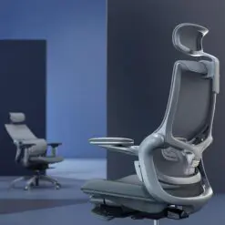 Comfy Ergonomic Executive Office Chair