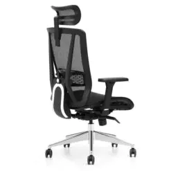 Ergonomic Mesh Chair – Adjustable With Lumbar Support