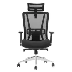 Ergonomic Mesh Chair – Adjustable With Lumbar Support