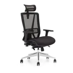 Ergonomic Mesh Chair – Adjustable With Lumbar Support