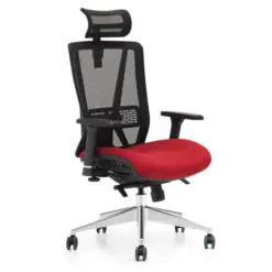 Ergonomic Mesh Chair – Adjustable With Lumbar Support