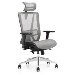 Ergonomic Mesh Chair – Adjustable With Lumbar Support