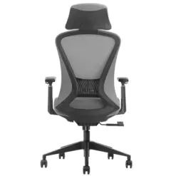 Back-Support Ergonomic Chair – Adjustable/Synchronized Tilting
