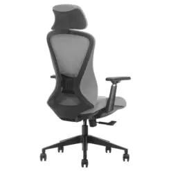 Back-Support Ergonomic Chair – Adjustable/Synchronized Tilting