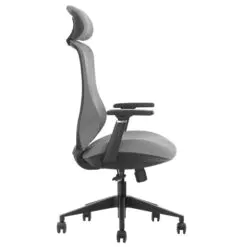 Back-Support Ergonomic Chair – Adjustable/Synchronized Tilting