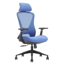Back-Support Ergonomic Chair – Adjustable/Synchronized Tilting