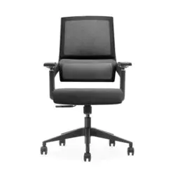 Buccoi-Mesh Short Back Office Chair – Adjustable Height – Durable Aluminum Base/Fabric Seat Top/Nylon Armrest/High Elasticity Mesh Backrest
