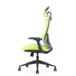 Back-Support Ergonomic Office Chair