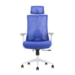 Back-Support Ergonomic Office Chair