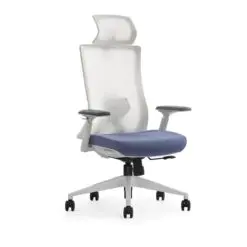 Back-Support Ergonomic Office Chair