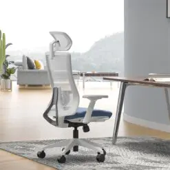Back-Support Ergonomic Office Chair