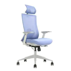 Back-Support Ergonomic Office Chair