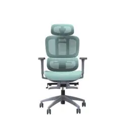 Ergonomic Mesh Executive Chair