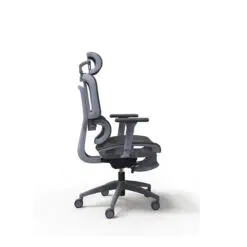 Ergonomic Mesh Executive Chair