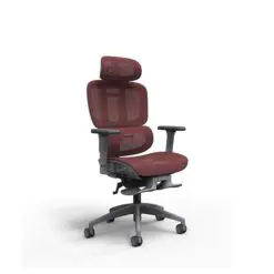 Ergonomic Mesh Executive Chair